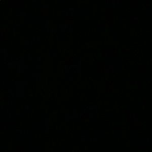 Meet your Posher, Tyanna